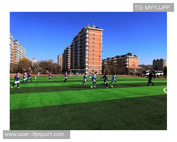 梦幻足球联盟上港:重燃激情与梦想的绿茵之旅